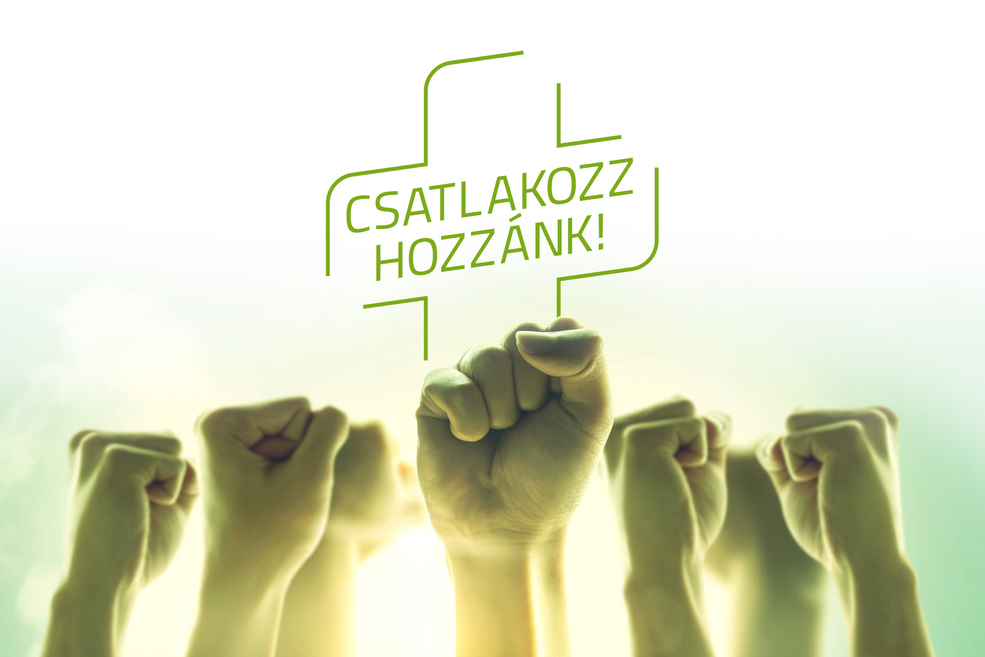 A trendiDEKOR Tehetség Program, egy olyan esélyjavító, társadalomépítő stratégiai szintű program, mely a kreatív tehetségek segítését célozta meg.