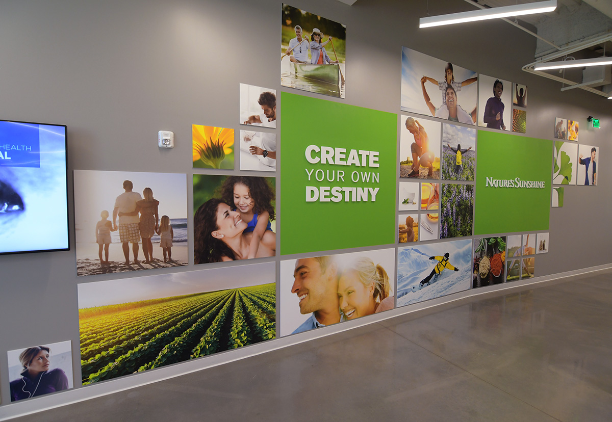 nspwall1